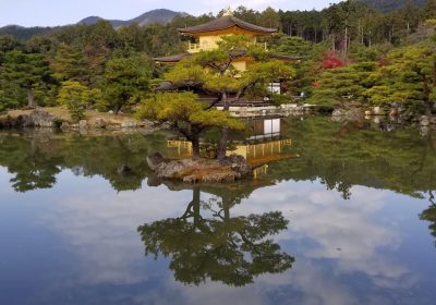 ΤΟ ΣΟΓΚΟΥΝΑΤΟ ΤΗΣ MELODRAKMA!