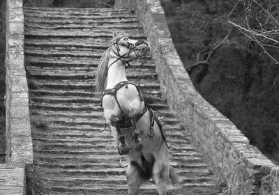 ΕΚΔΡΟΜΗ ΣΤΗΝ ΗΠΕΙΡΟ 6-9 ΙΟΥΝΙΟΥ (Αγίου Πνεύματος)