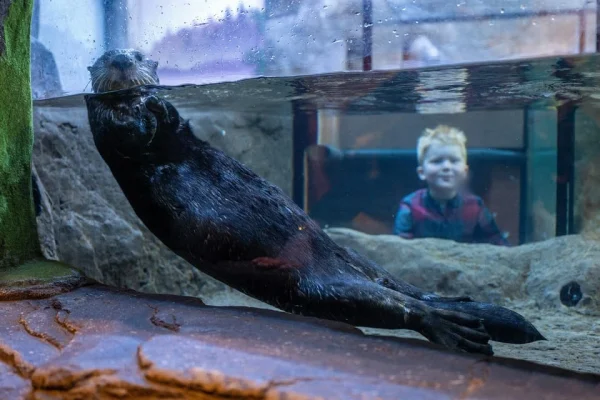 x – National Sea Life Centre Entrance Ticket