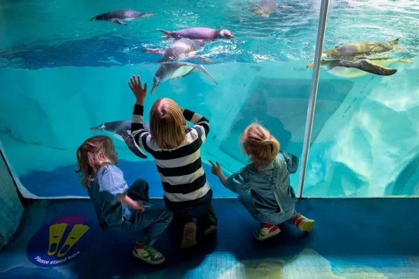 x – National Sea Life Centre Entrance Ticket