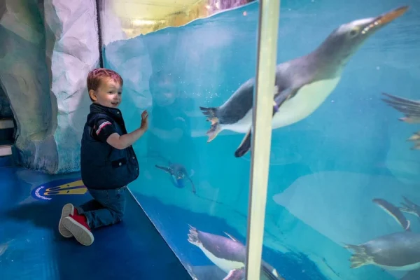 x – National Sea Life Centre Entrance Ticket