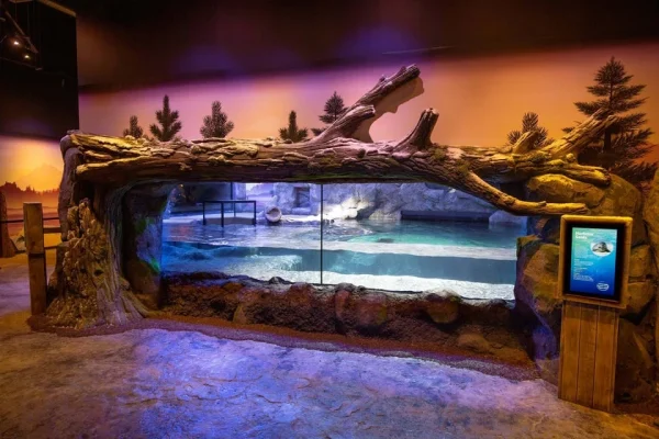 x – National Sea Life Centre Entrance Ticket