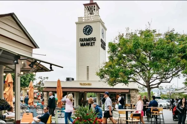 x – Half-Day Sightseeing Tour of the Best of Los Angeles