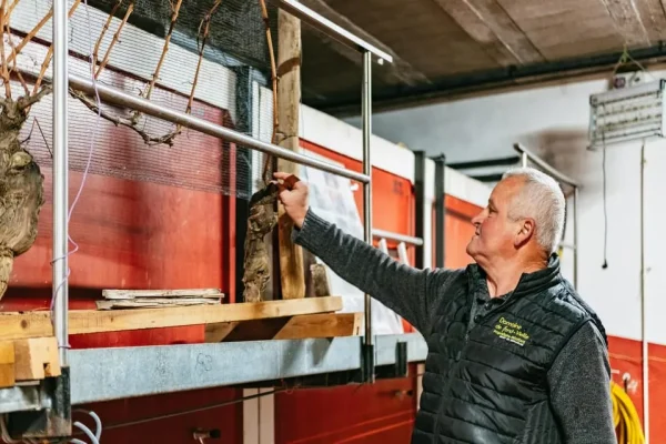 x – Golden Stones Beaujolais Wine Tasting Tour